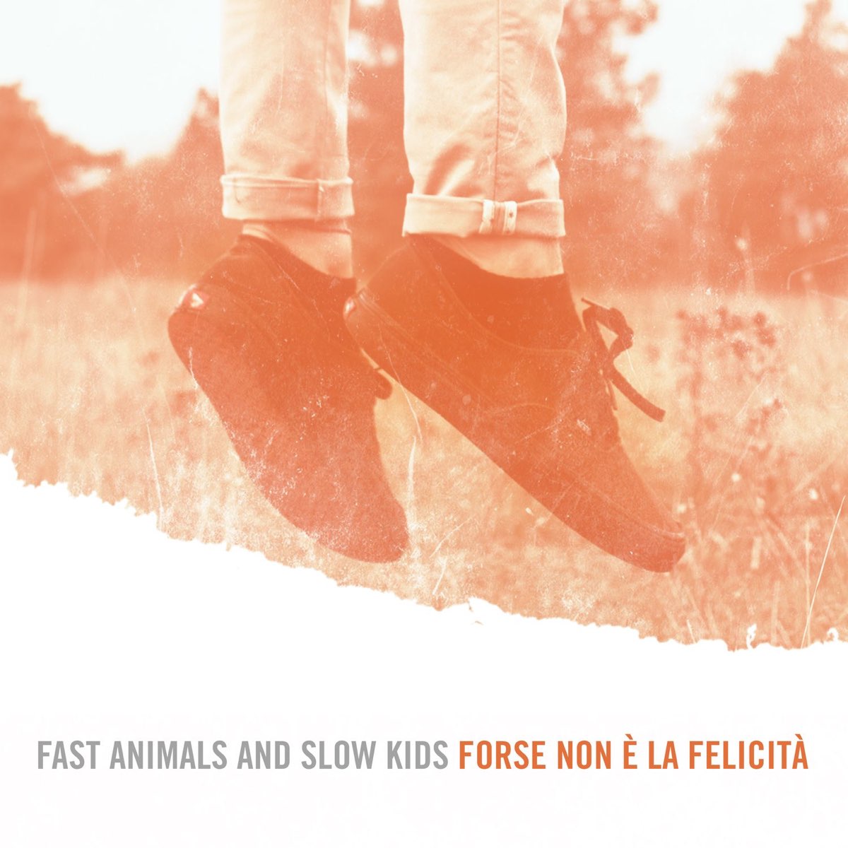 Forse-non-e-la-felicita-dei-Fast-Animals-and-Slow-Kids-Andrea-Montesano-Psicologo-Psicoterapeuta-Roma-Nord